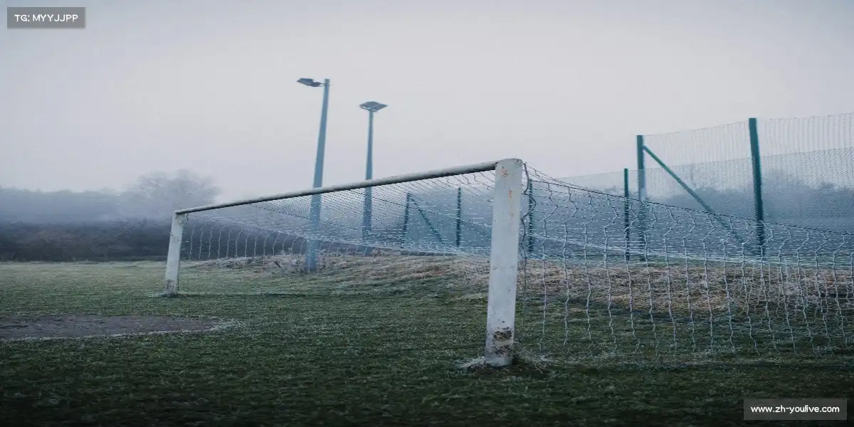 优直播直播——🥋⚡ 跆拳道旋风踢,雷刃劈雾!